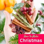 womans hand holding cinnamon sticks evergreen branches and cinnamon sticks against white background