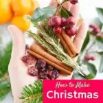 womans hand holding cinnamon sticks evergreen branches and cinnamon sticks against white background