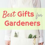 woman wearing apron with plant in pockets gifts for gardeners
