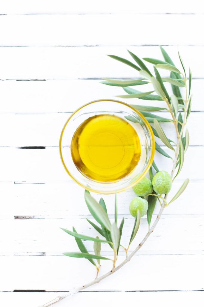 olive oil in glass jar near olive tree branch on white background