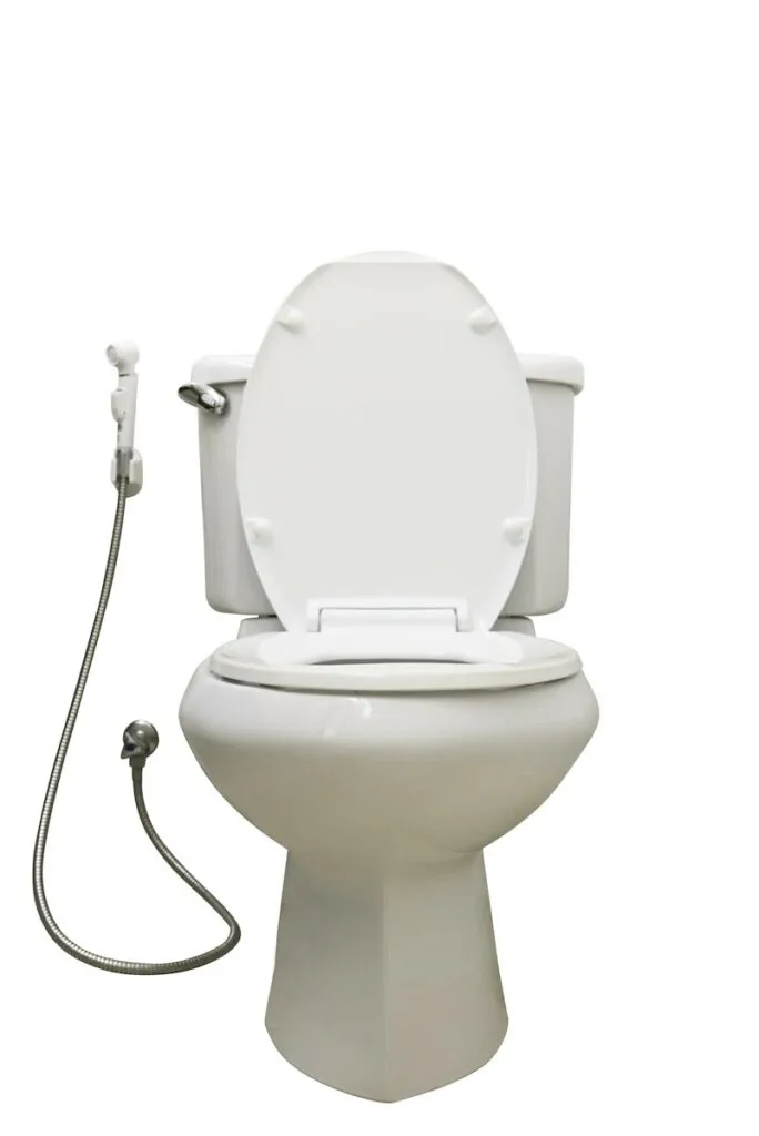 white toilet with bidet sprayer attachment