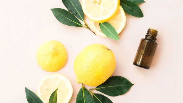 sliced lemons and leaves with brown essential oil bottle on pink background