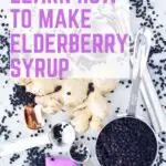 elderberry syrup ingredients