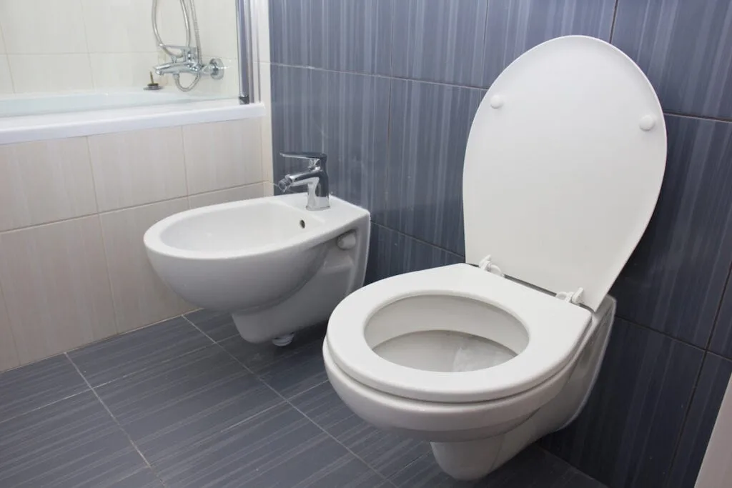 toilet and bidet in the gray bathroom