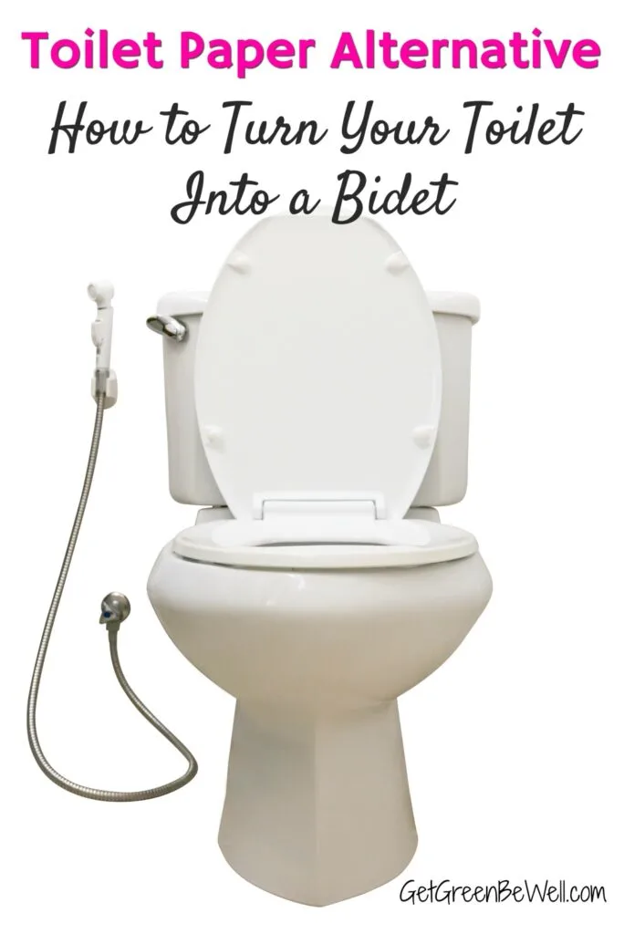white toilet bowl with bidet attachment