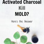 Activated charcoal has been widely recognized for its remarkable ability to absorb contaminants and toxins. However, when it comes to mold, the effectiveness of activated charcoal in eliminating this pesky and harmful fungi can be a