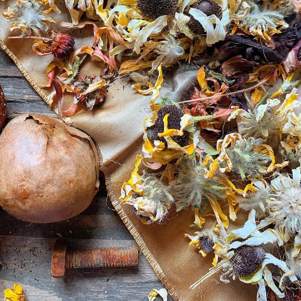 dried flowers onion and steel screw on wooden backdrop