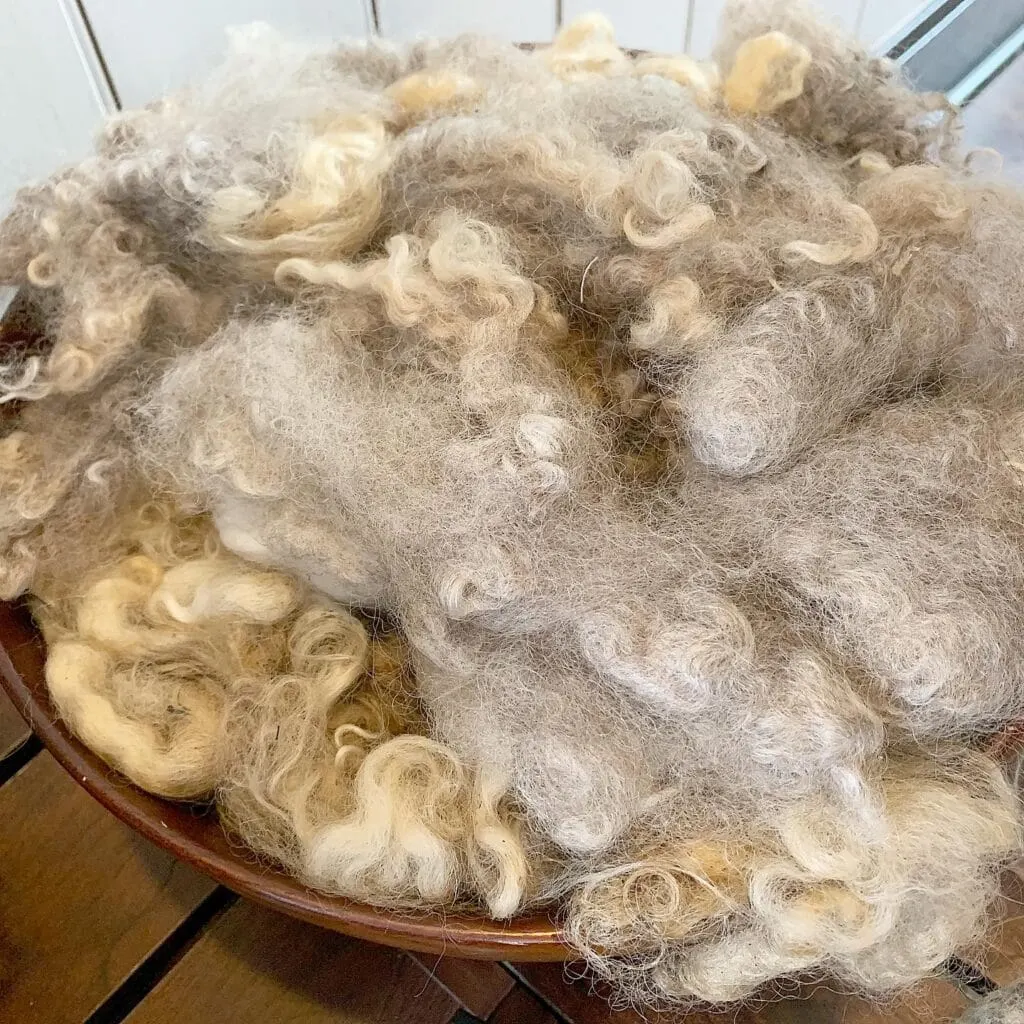 wooden bowl filled with sheep wool