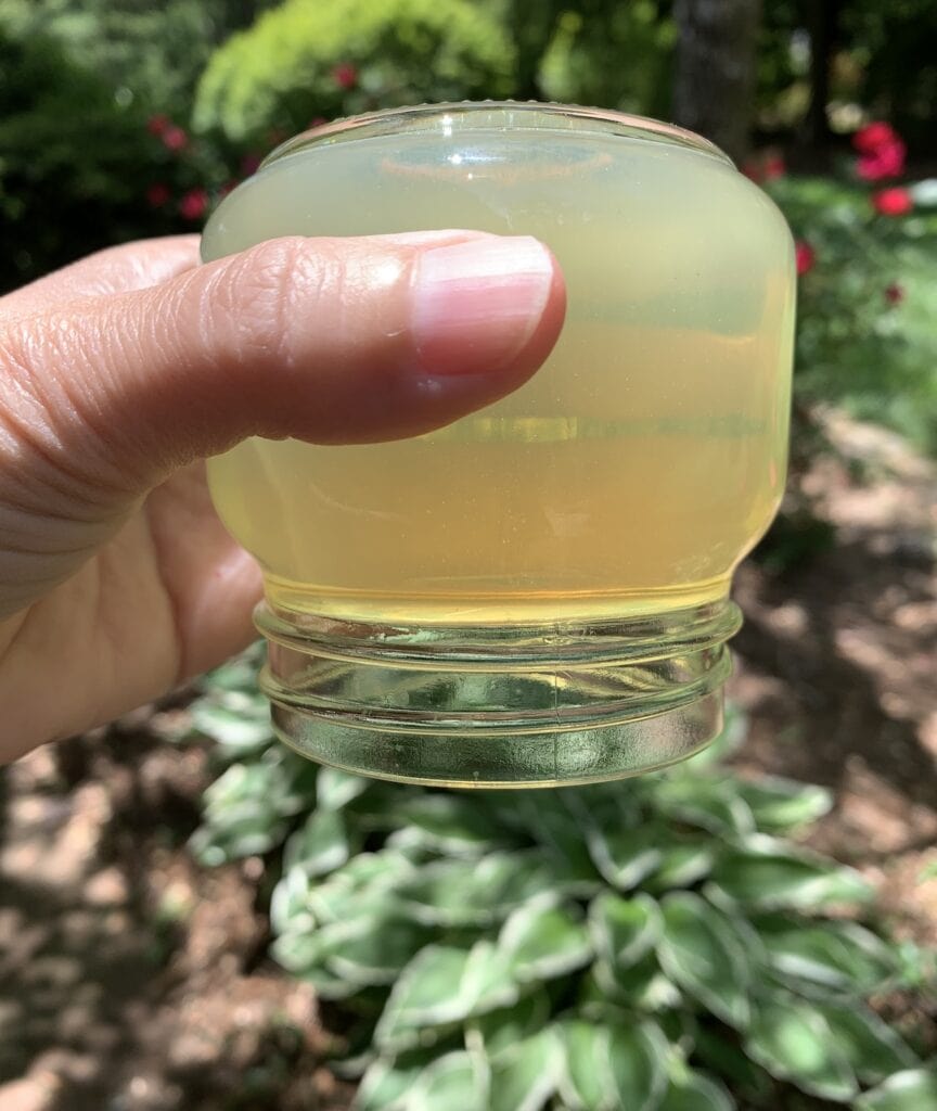 woman hand holding glass mason jar with gel air freshener upside down against garden plants