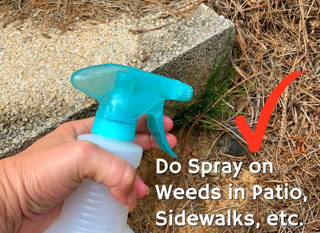 woman holding plastic spray bottle near a weed in patio