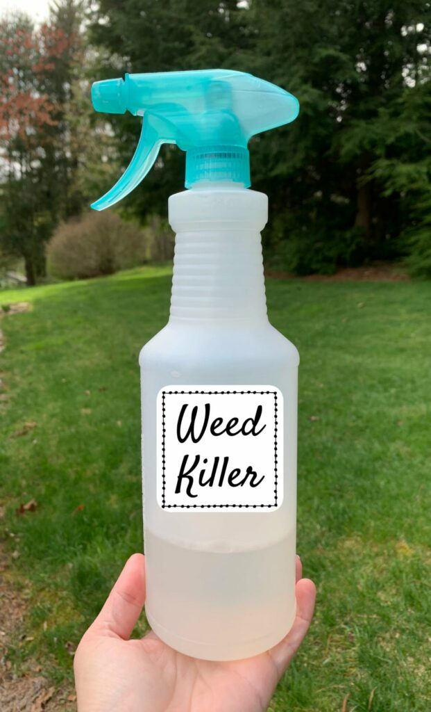 Image of White vinegar spray bottle for pet friendly weed killer