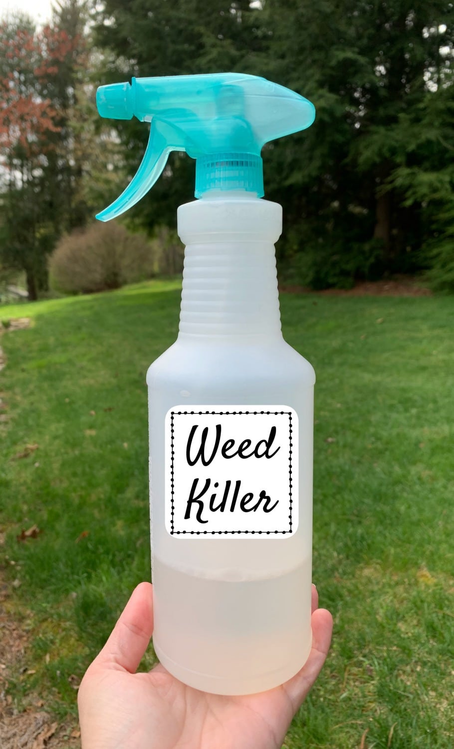 Image of People holding up bottles of vinegar as a natural weed killer