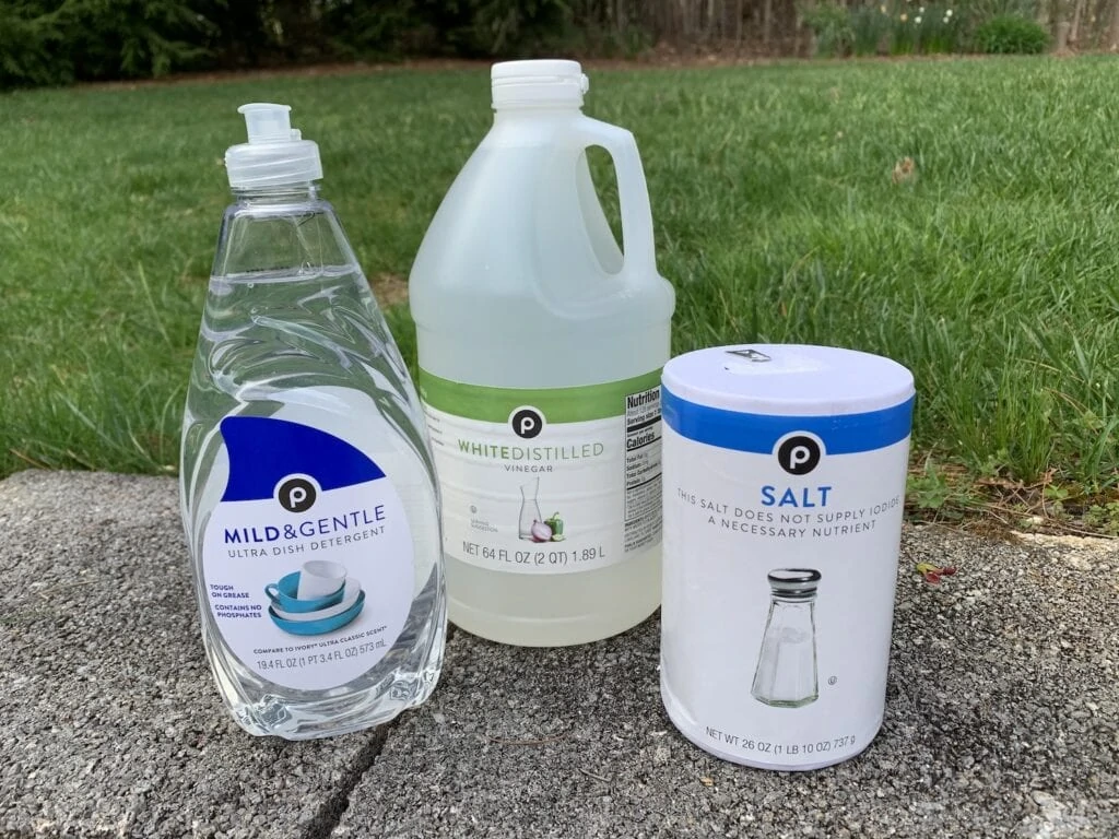 bottles of dish soap vinegar and salt against green grass