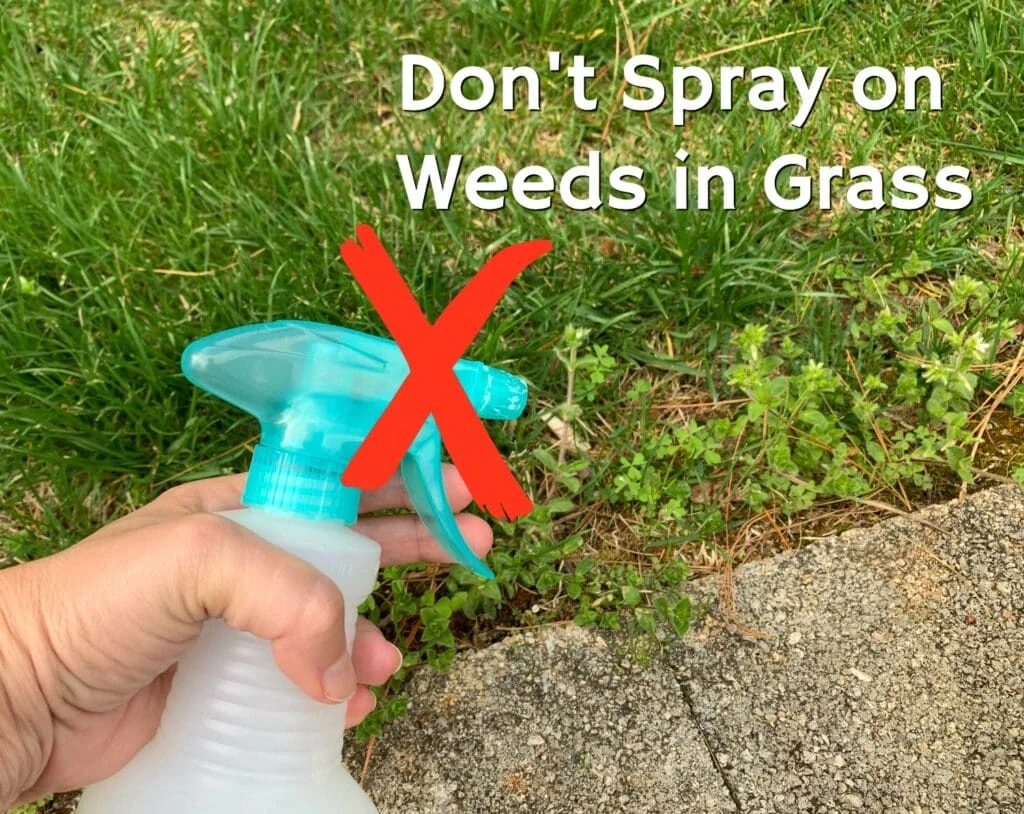 woman holding spray bottle with blue nozzle against green grass