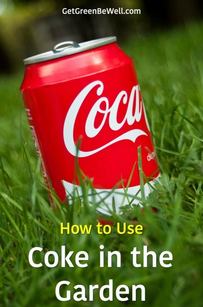 red can of Coke in green grass