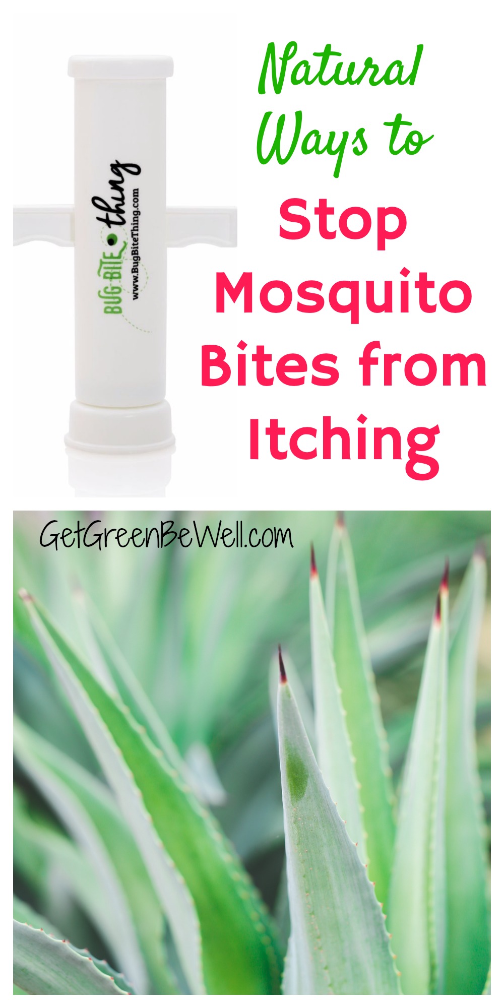 How to Stop Mosquito Bites from Itching Get Green Be Well