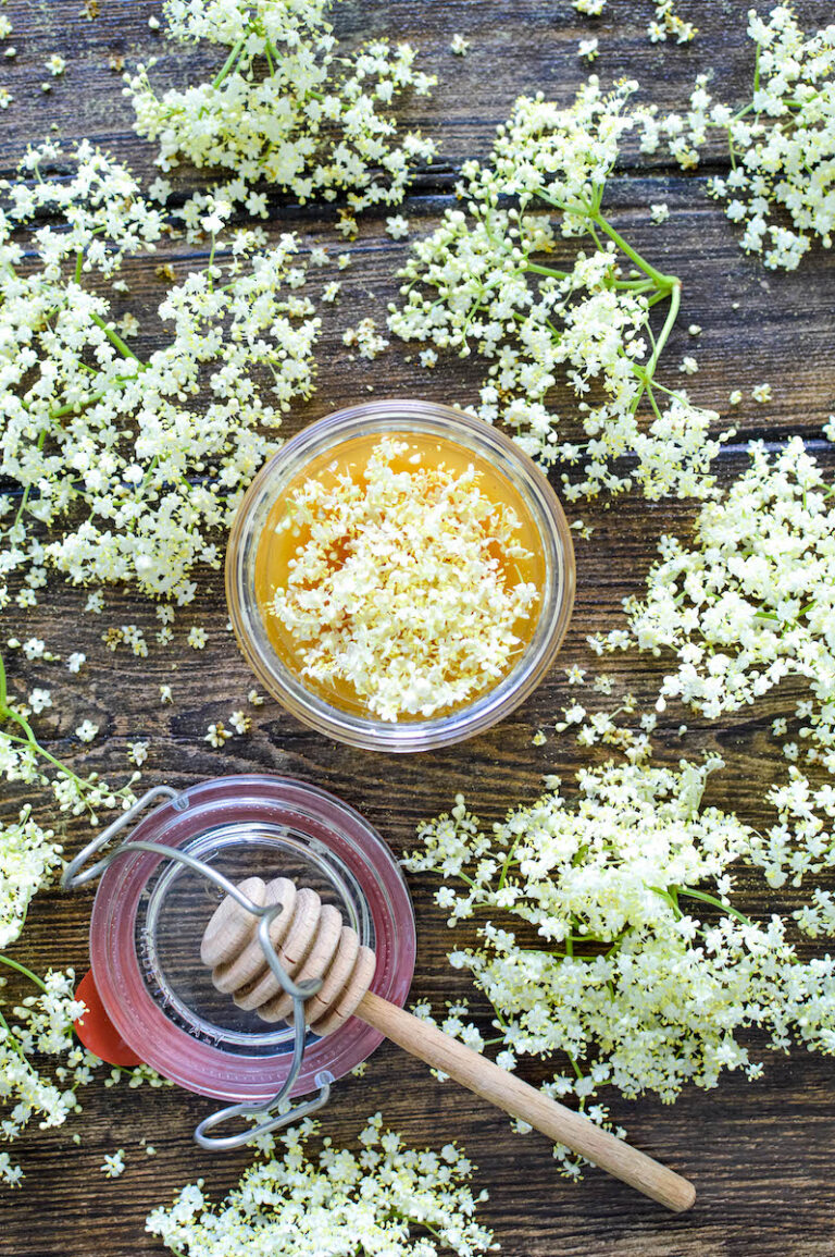 Elderflower Foraging And Drying + Honey Recipe Get Green Be Well