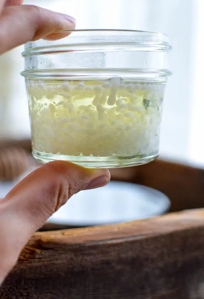 mason jar with melted coconut oil and beeswax 