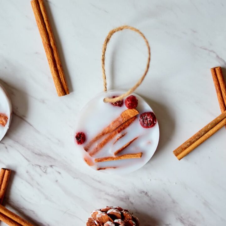 cinnamon and cranberries in DIY wax air freshener