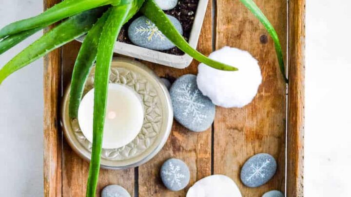 overhead view of plant in wooden tray surrounded by painted rocks and white pom pots