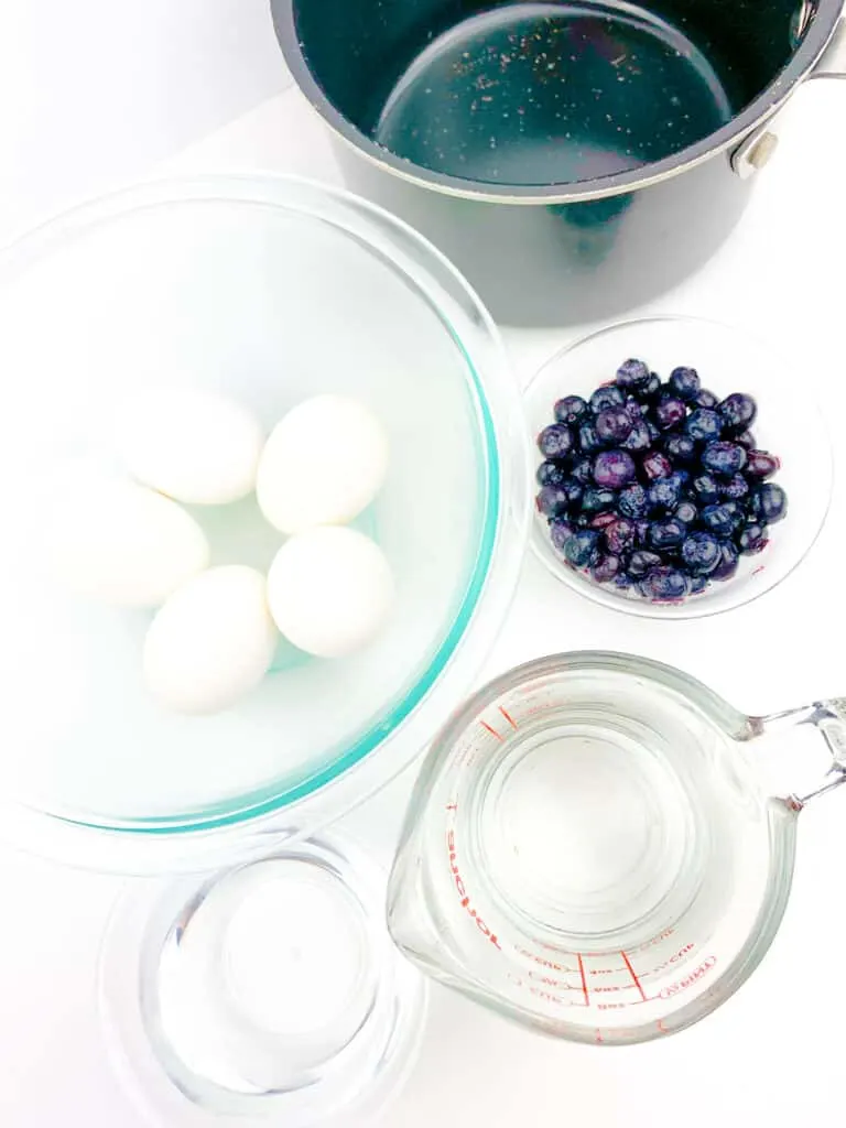 Blueberry Dyed Egg supplies