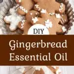 Diy gingerbread scent oil.