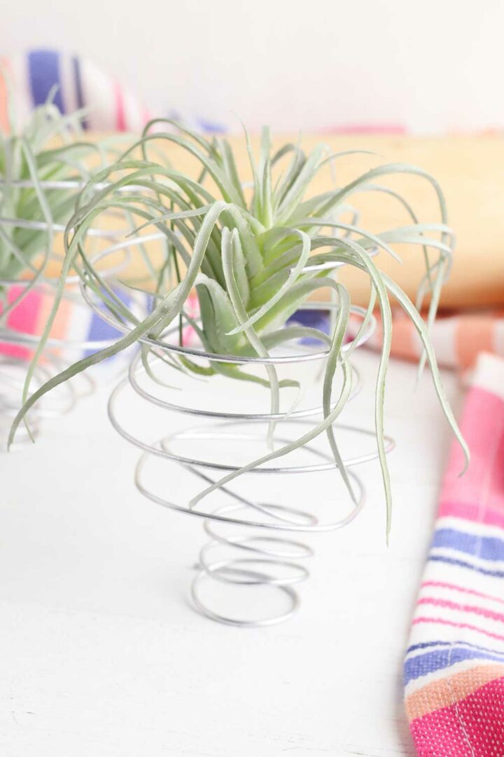How to Make an Air Plant Holder (Easy DIY!) Get Green Be Well