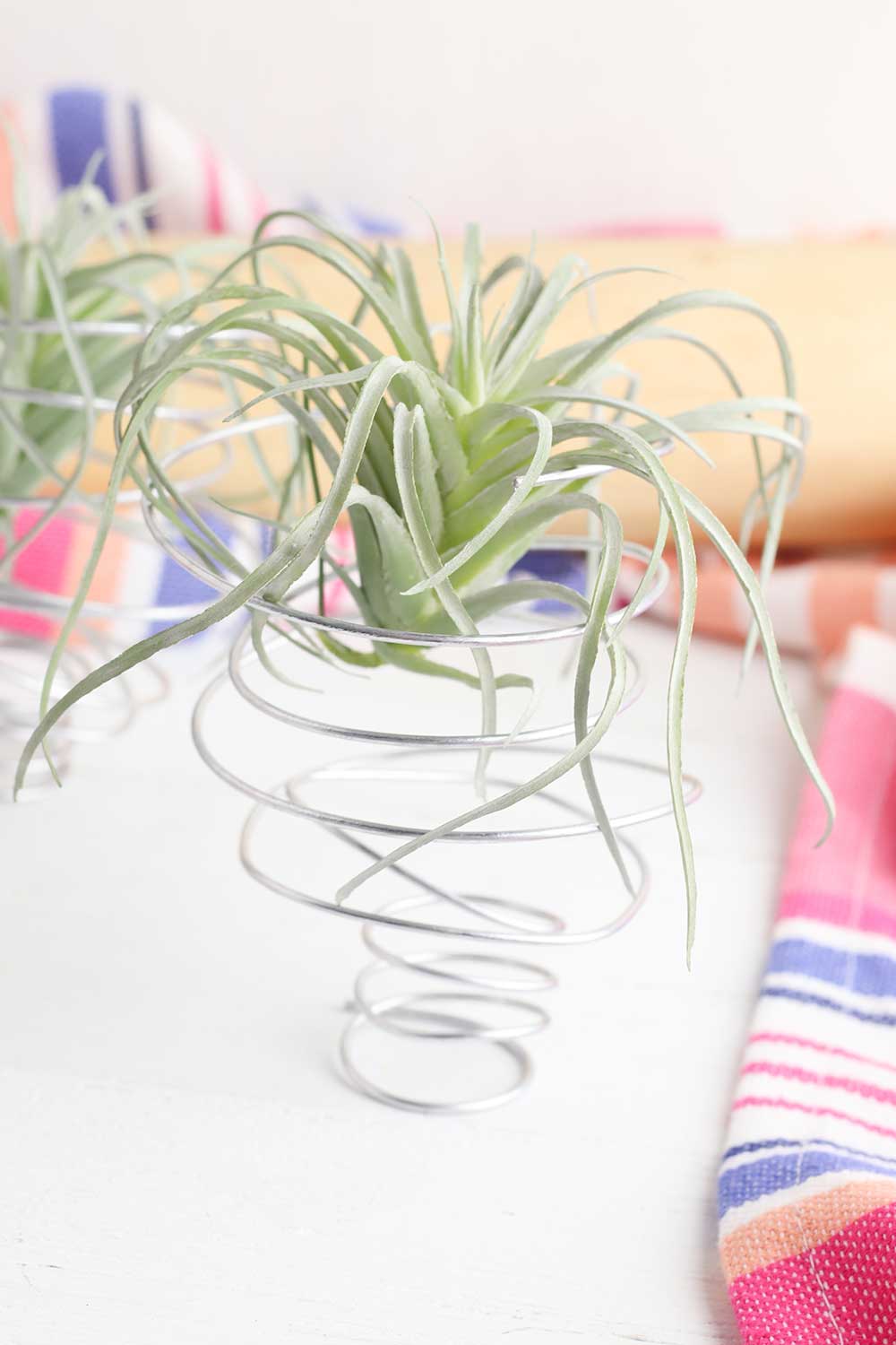 How to Make an Air Plant Holder (Easy DIY!) Get Green Be Well