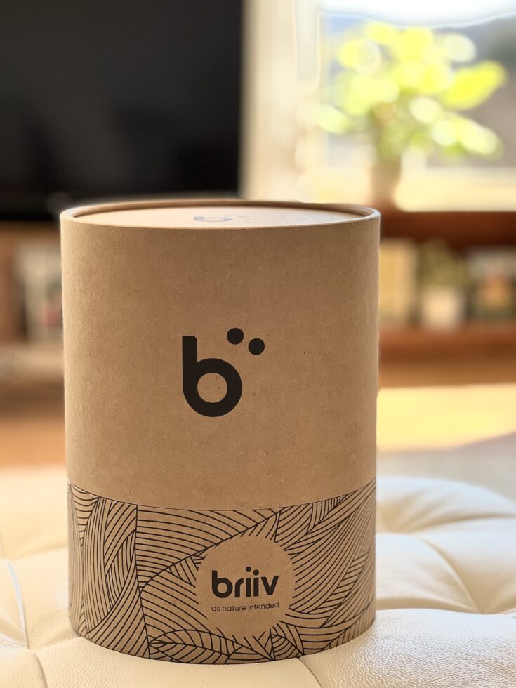 Briiv Air Filters Beautiful, Sustainable and Natural Design Get