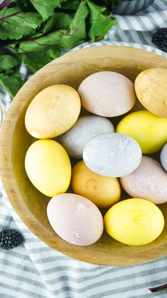 brightly colored Easter eggs in a wooden bowl with green beet leaf in the background