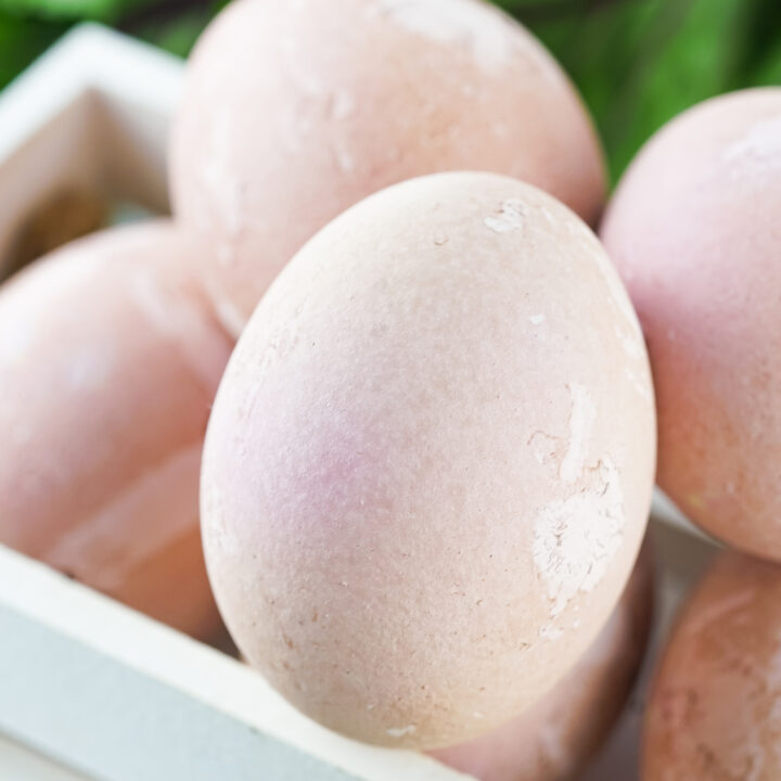 pink colored eggs in white crate basket with beet leaves in background
