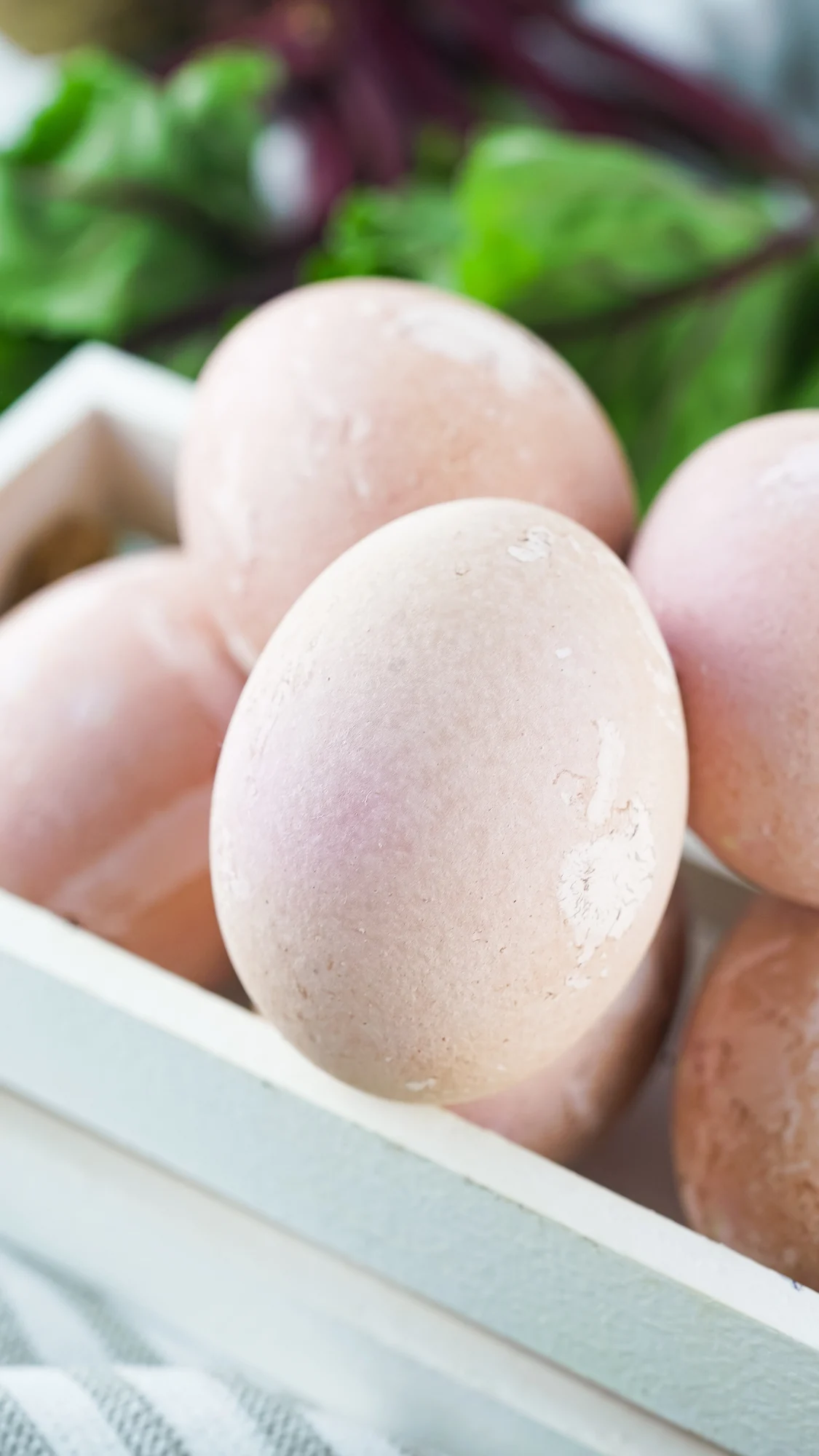 pink colored eggs in white crate basket with beet leaves in background