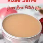 small aluminum tin filled with pink colored rose salve on marble background with fresh rose laying beside it