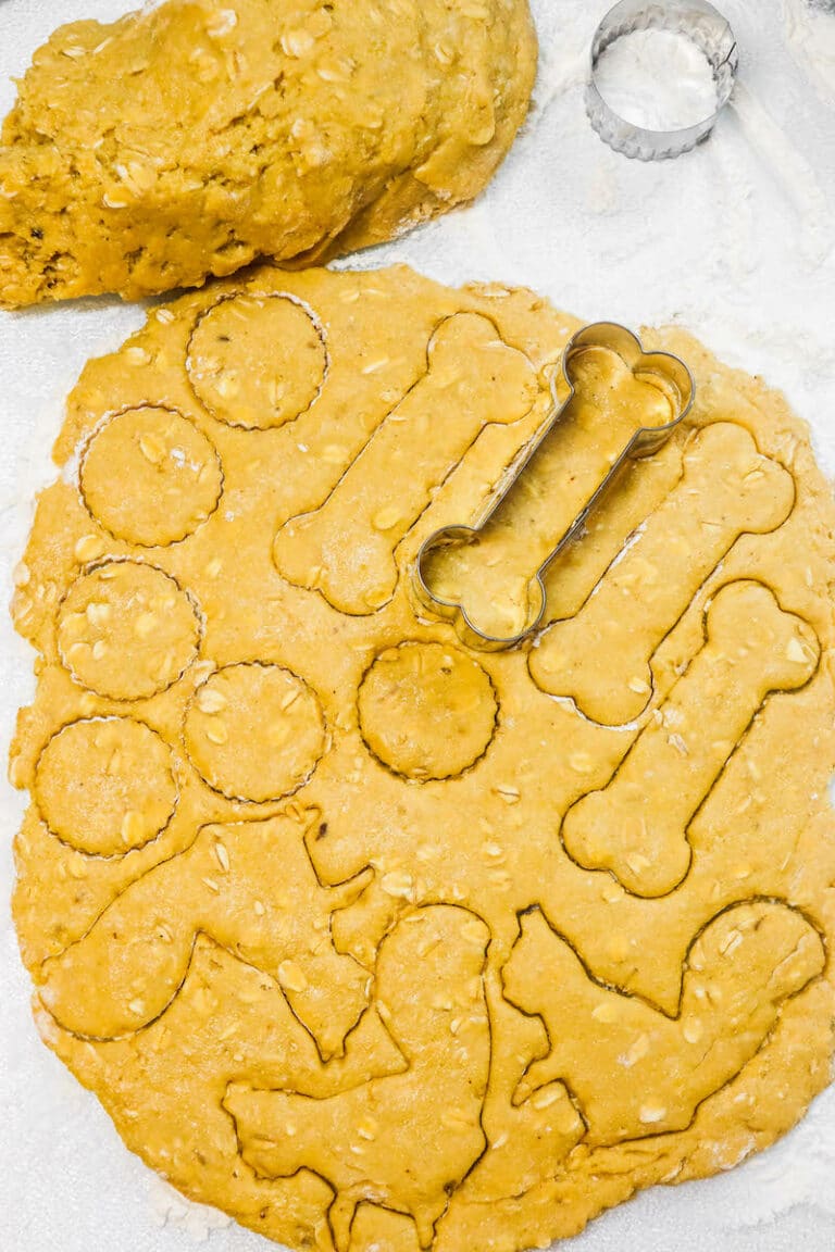 Easy Dehydrator Dog Treats Recipe Get Green Be Well
