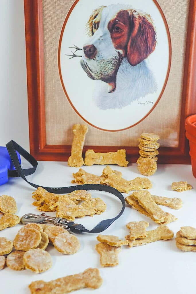 Dehydrator Dog Treats Recipe with dog leash and picture of dog on table