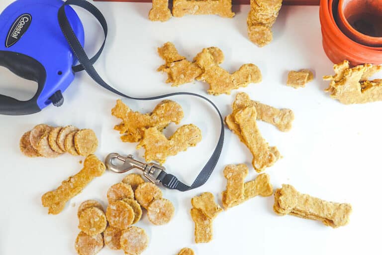Dehydrator Dog Treats with dog leash on white background