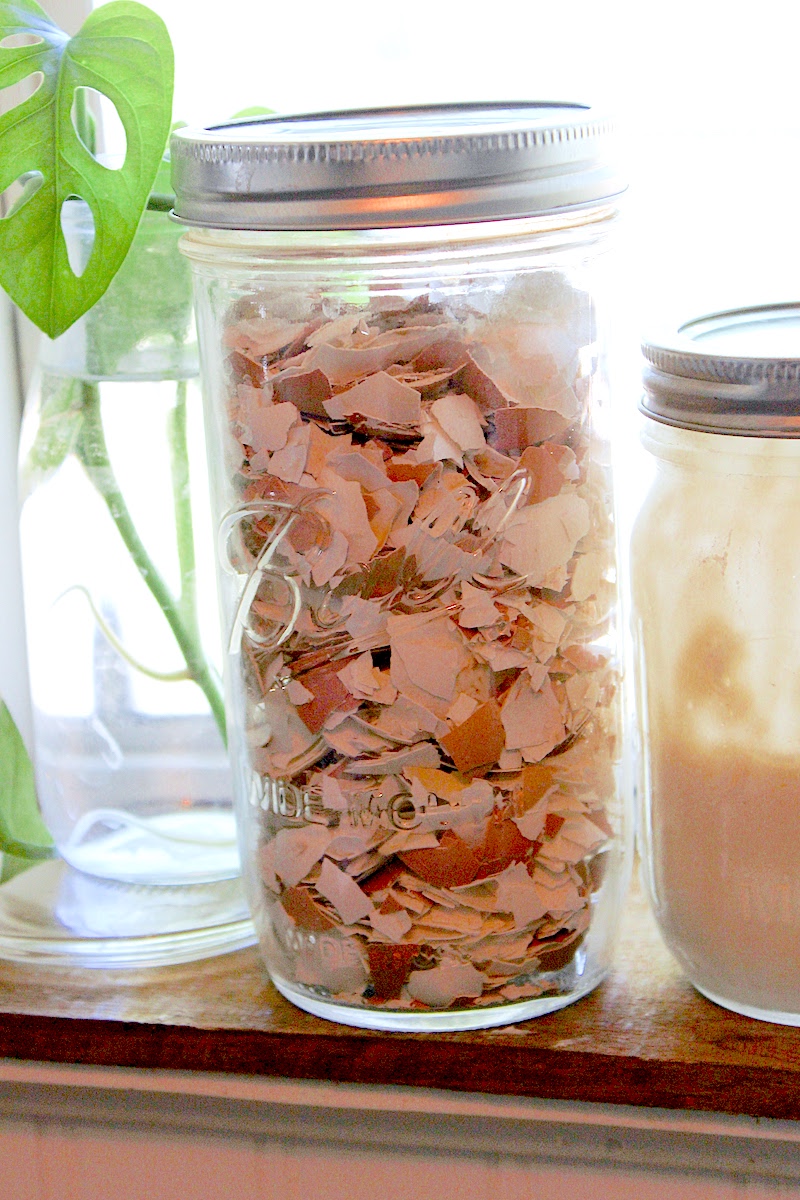 A glass jar with crushed eggshells for the garden.