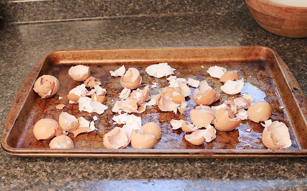 An empty metal pan sits on a counter.