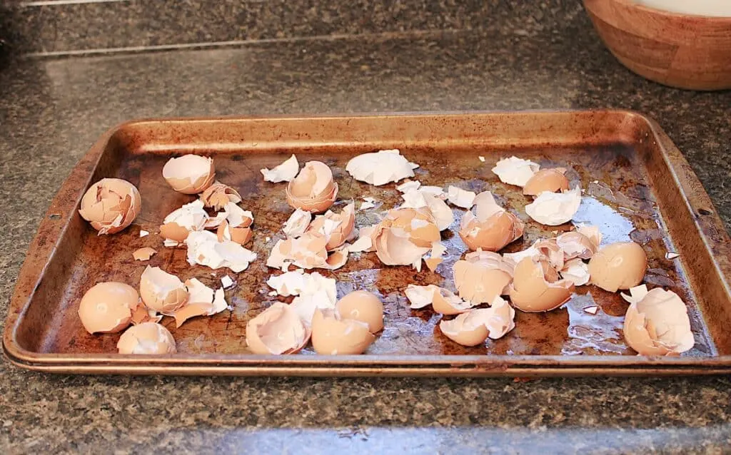 An empty metal pan sits on a counter.