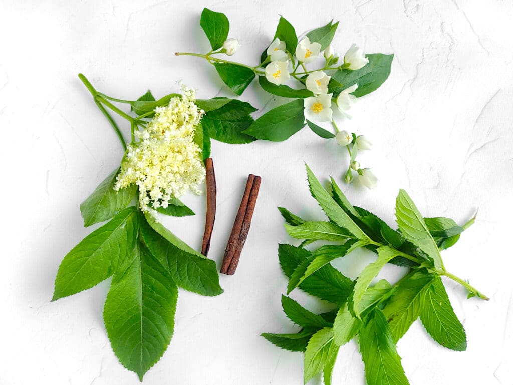 A group of flowers and leaves on a white background for a Moon Water recipe.