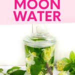 Moon water recipe: Transform a glass jar into a mystical vessel by filling it with enchanting green liquid and captivating flowers.