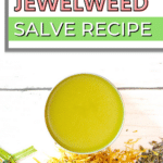 Easy jewelweed salve recipe.