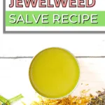 Easy jewelweed salve recipe.