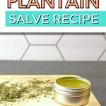 Easy plantain salve recipe.