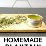 Homemade plantain salve recipe.