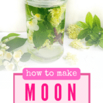Moon water recipe with flowers and leaves.