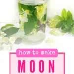 Moon water recipe with flowers and leaves.