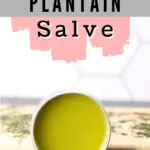 How to make plantain salve.