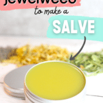 How to use jewelweed to make a salve.