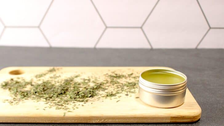A tin of Plantain Salve on a cutting board.